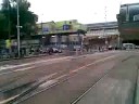 Que puedes hacer en Amsterdam?