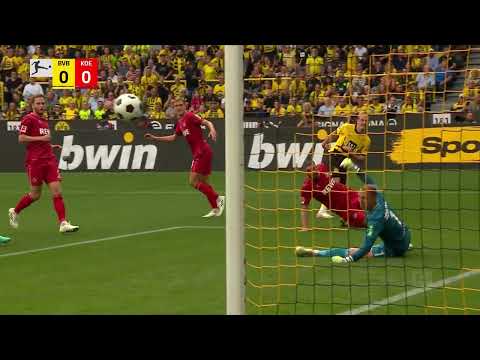 BV Ballspiel Verein Borussia Dortmund 1-0 1. FC Fu...