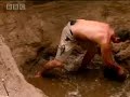 Tribe: Working for Water Tribe: Working for Water
