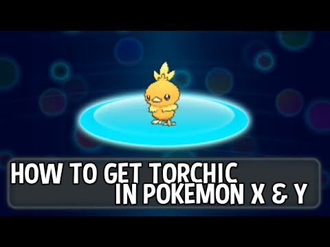 how to get torchic in pokemon x and y