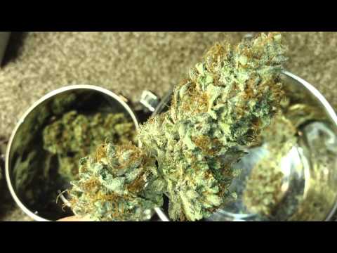 how to grow gdp strain