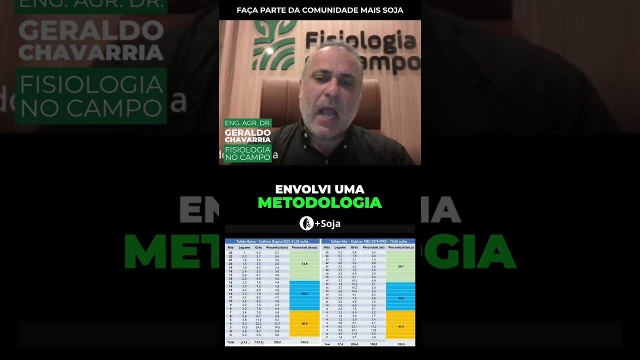 O Verdadeiro Mapa da Produtividade  #agricultura #agriculturaregenerativa #agro #soja