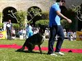 GSD training GSD training