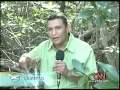 Amapala Destinos Part 1