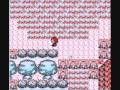 Pokemon Team Rocket 20: Safari Time!