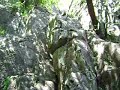Cerro Mitras 3