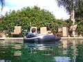 Motorized Pool Lounger on Father\ Motorized Pool Lounger on Father\