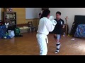 日本拳法VSキック