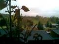 videos de Storm