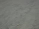 miki-gonzales.html