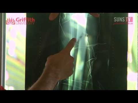 Sport Science (TV Series) - Nathan Bock has fractured his tibia and is set to be on the sidelines till the 2012 season. Griffith Sports Science looks at how Bock sustained such an injur...