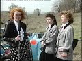 Hettstedt 1991