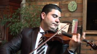 The swan / A hattyú