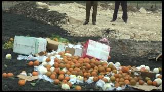 TP Uông Bí thu giữ, tiêu hủy 600kg hoa quả nhập lậu