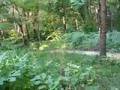 yz85 gap 26 feet