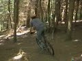 Haldon Woods