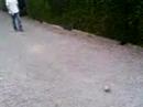 tir-de-michael-bonvoisin.html
