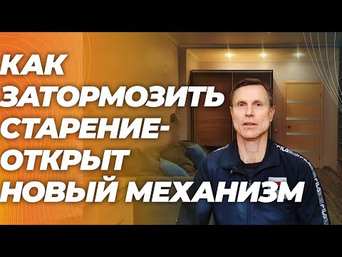 Cтало известно как клетки запасают вещество, тормозящее старение и как это улучшить.