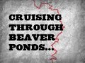 Mountain Biking - Fresno Dome