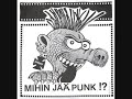 MIHIN JÄÄ PUNK ?! (DUB)