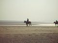 Horses Beach - Nice steady canter! Horses Beach - Nice steady canter!