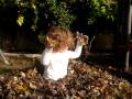 Sophia Playing in the leaves