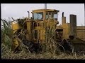 Cameco Sugar Cane Harvester