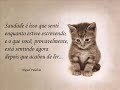 Saudade - Miguel Falabela
