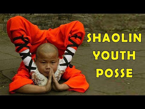 Wu Tang Collection - Shaolin Youth Posse
