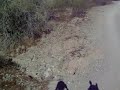 June 1st trailride