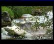Tibetan song:Om Mani Pami-Tsering Basang Kham)西藏 藏歌 康巴 安多 卫藏