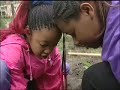 NWF Backyard Habitats