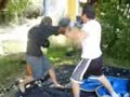 MMA sparring (Squirril Master .v.s. The Chef) MMA sparring (Squirril Master .v.s. The Chef)