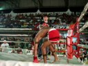 RINOS VI-MUTANTE X GLEFESON GG...