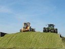 Mt Elgin Silage 2008 - 3
