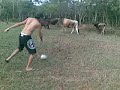 Drible da vaca Drible da vaca