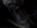 Sep 10 2008 - VID00020