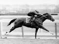 In Memory Of Secretariat...