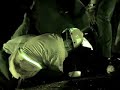 Bomberos Tijuana Rescate Accidente Automovilistico