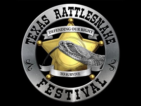 YouTube reptile video