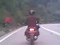 zack pecut dgn LC