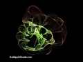 Lorenz Strange Attractor Evolution