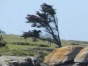 14)  France, Bretagne, Finistère, Tregunc, Cabellou, Les Île
