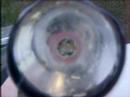 Wasp Trap Gone WRONG! Part 2