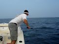 Dolphin Fishing - 20 lb catch - good fight! Dolphin Fishing - 20 lb catch - good fight!