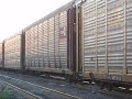 Two NB CSX trains at Yeoman Yard in Tampa 6-16-08