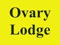 Ovary Lodge - Fragment No. 6