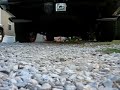 Chevy Avalanche with Flowmaster S40 muffler