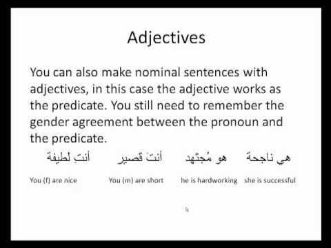 Click to view the lecture