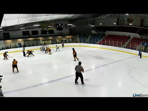 GTHL Playoffs Game 1 Vs Vaughan Kings (Faceoff / assist)